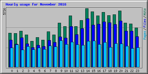 Hourly usage for November 2016